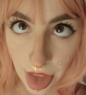 Lizady Picture