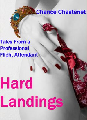 Flight Attendant gets deep into BDSM. Draft2Digital.