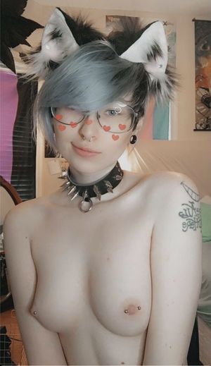 Cute punk kitty