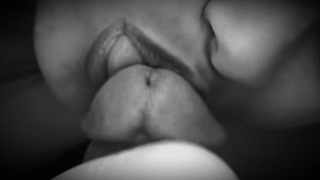 cuckold cuckold