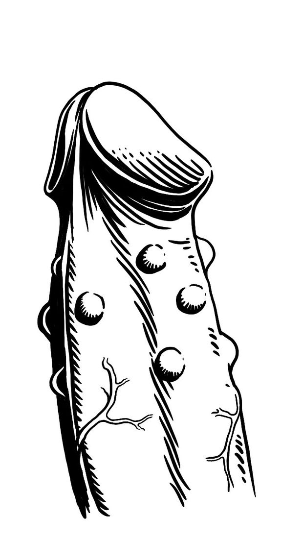 penis draw