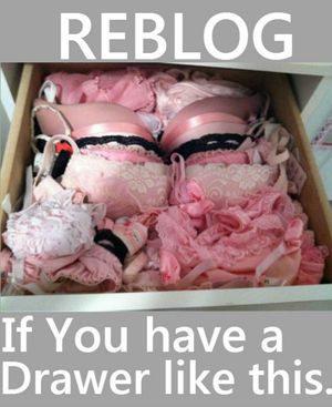 transgirl sissified female domination caps sex