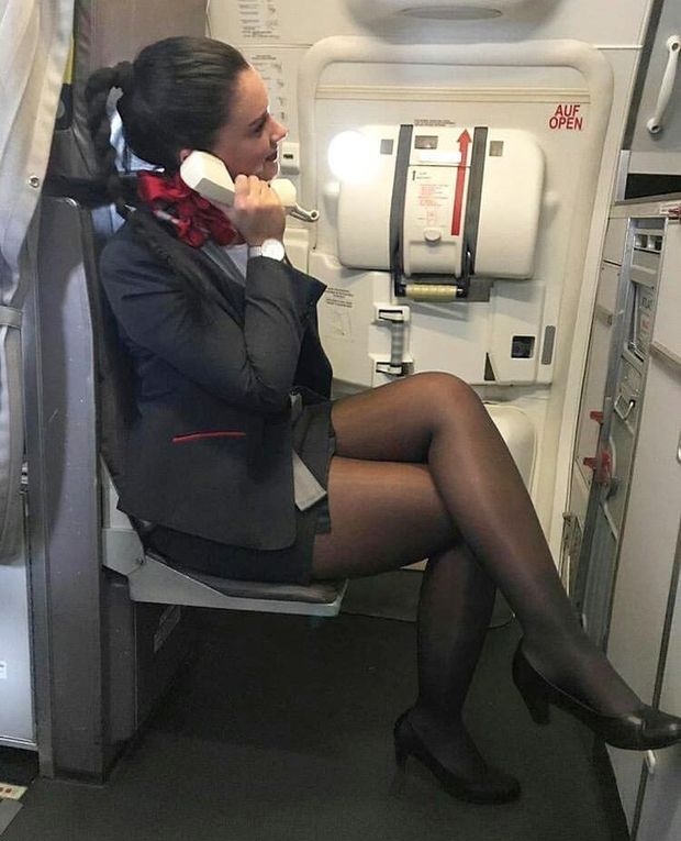 flight attendant