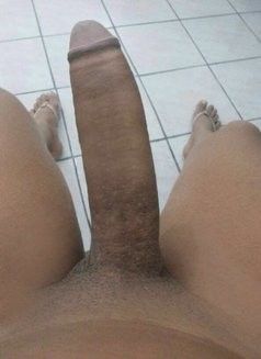 HAMMER