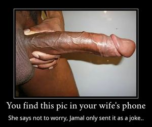 The joke is the fact that he is fucking your wife's brains out with his big black cock