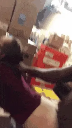 sdf GIF