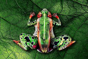 Bodypainting