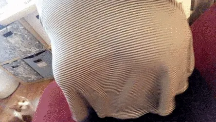 u/babyraq1 shows her giant titties for you and her cat