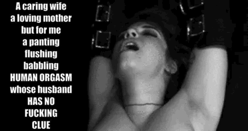 Cheat
