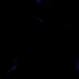 Rave Babes Dance for me