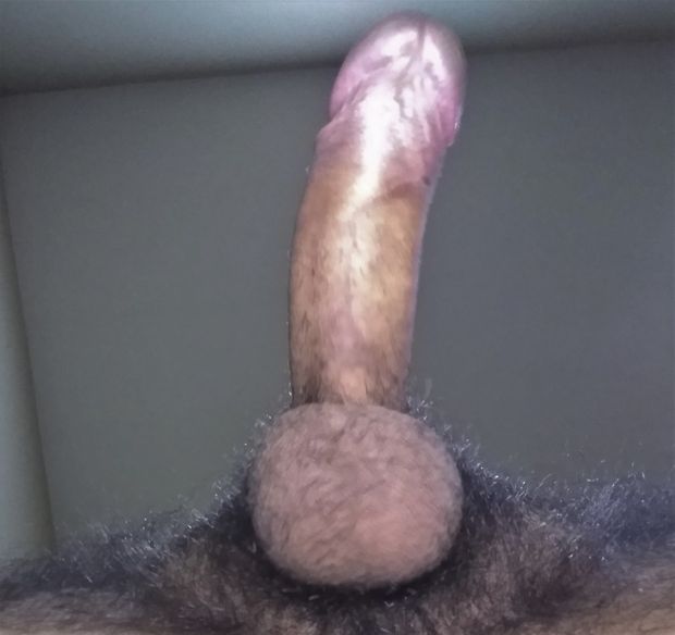 waiting to be milked