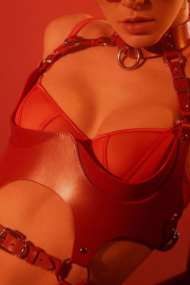 Red leather harness with collar