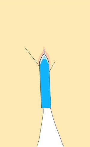 Hentai masturbation dildo pussy