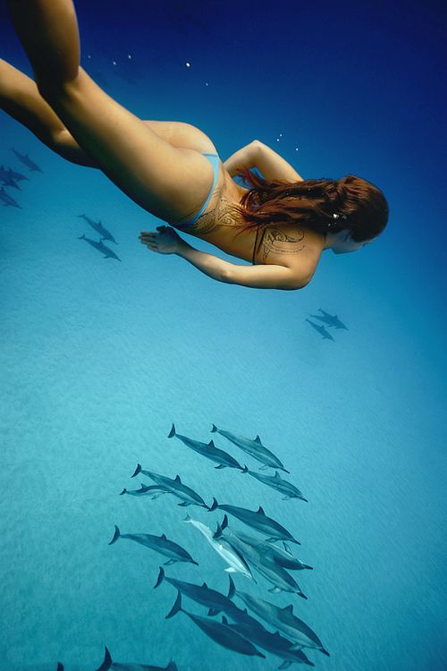Free diving
