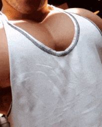 Big Juicy Pecs and Abs