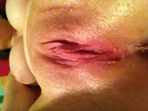 Sfccpl4fwb Bild