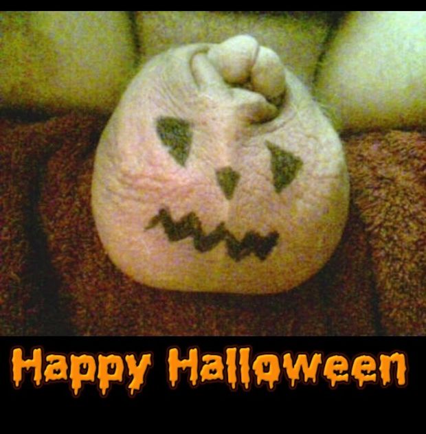 Happy Halloween