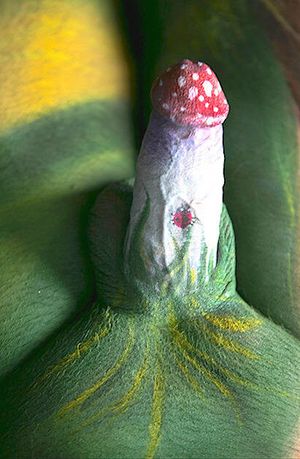 Mushroom painted cock
