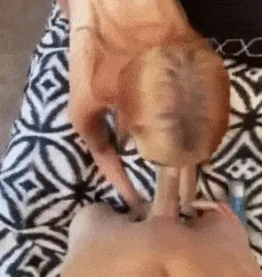 Redhead sucking big cock