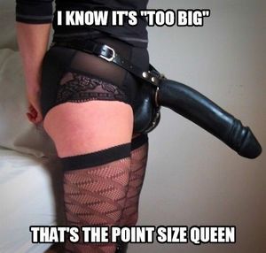 we'll make it fit size queen
