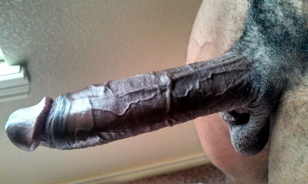 Cock