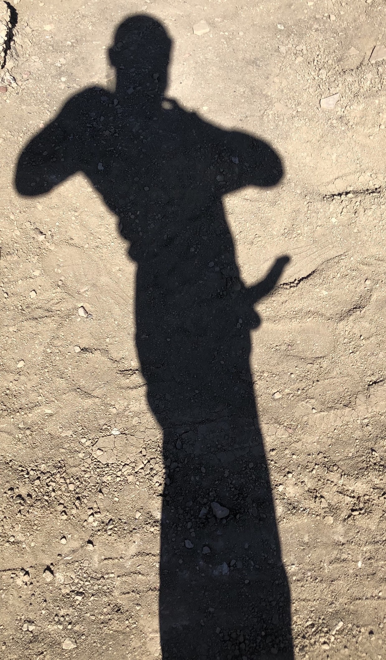 shadow with erection