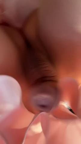 See always pantieless