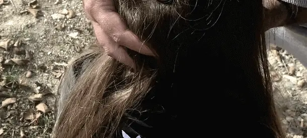 Stranger Dick