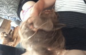 Paying private Lessons