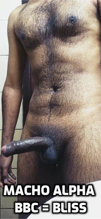 Macho Alpha BBC