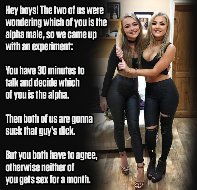 Come on guys! You must know deep down who the alpha is!
