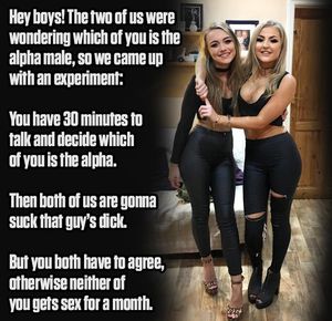 Come on guys! You must know deep down who the alpha is!