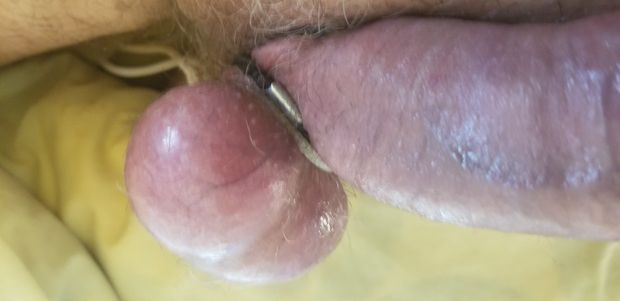 Cock under oressure