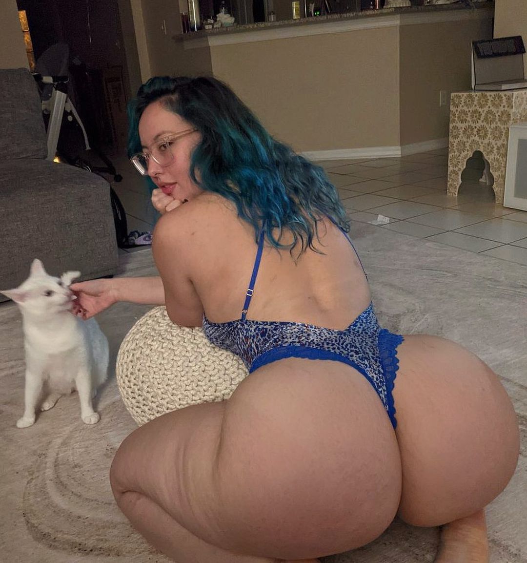 Nice Kitty