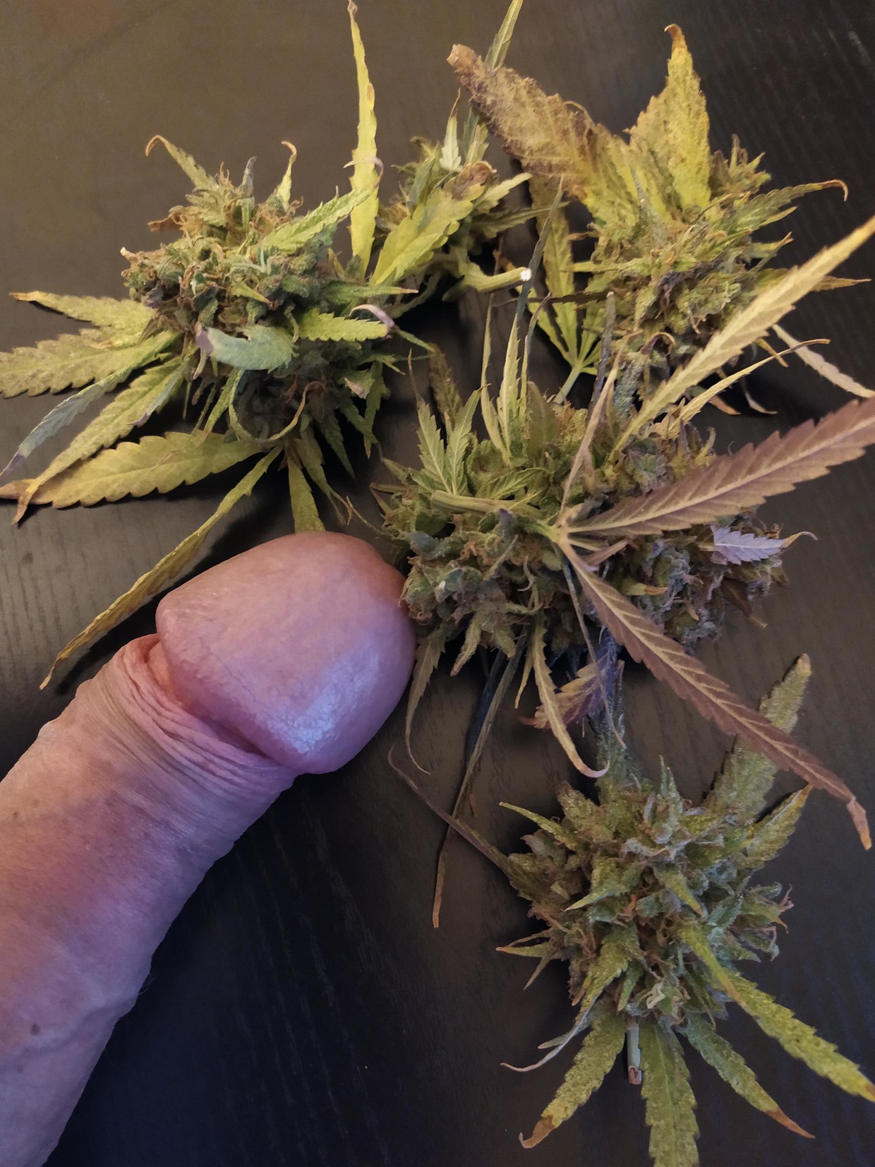 Wiener and weed indeed