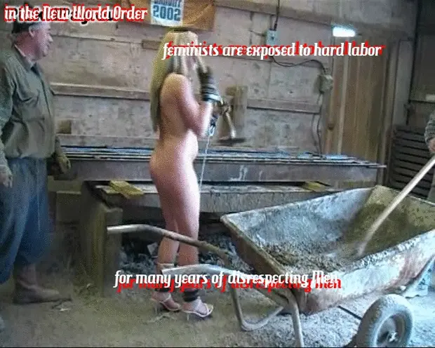 6533vgehdevcf