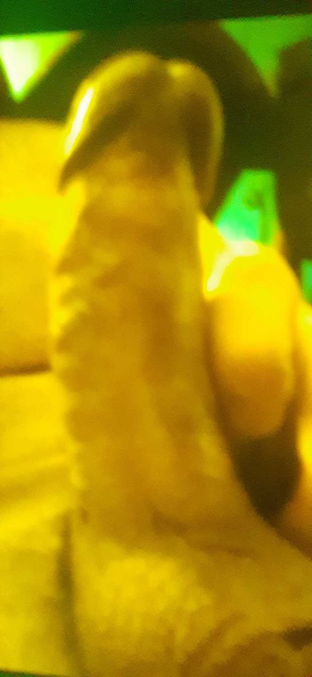 My Cock lookn 4 Ass!