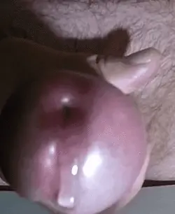 Morning wood needs release
