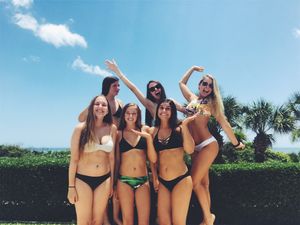 Bikini Harem