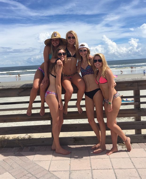 Bikini Harem