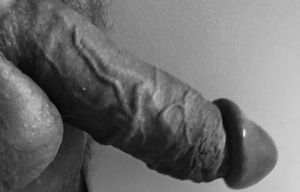 Veiny cock