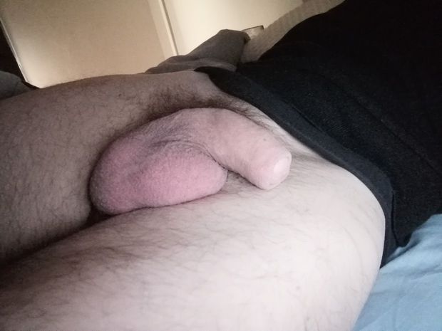 Sleeping cock...