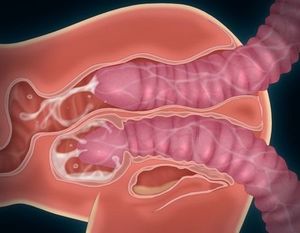 Tentacles blowing their load internally