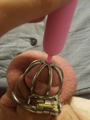 sexy caged sissy
