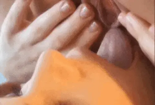 Pussy licking closeup