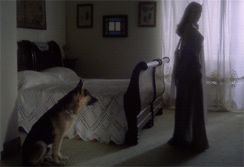 Woof!