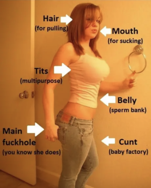 Your GFs instruction book