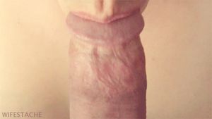 closeup-blowjob-gif
