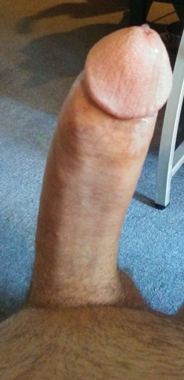 Lick the precum from my hard cock