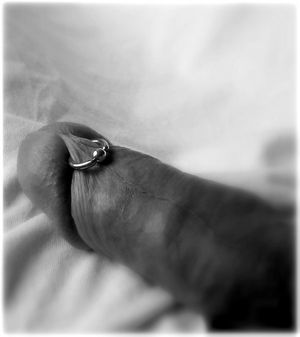 Cock with frenum piercing